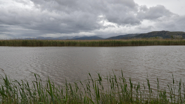 A photo of a pond surrounded by wetland. There are hills in the distance. The sky is cloudy.