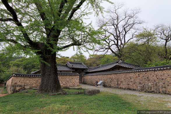 Gangjin, Jeollanam-do, Korea