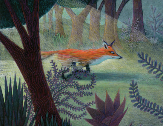 The Fox in the Forest
Caught in a beam of sunshine, a blaze of orange streaks past as a fox dashes quietly though the blue green forest. Pink, purple and deep teal bloom in flowers and leafy plants in the foreground.