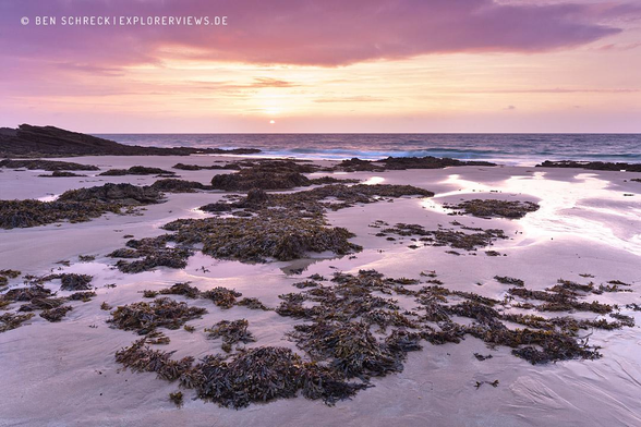 Strand mit Algen, Meer im Sonnenuntergang