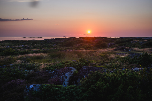 A photograph of the setting sun over the sea. In the foreground is a stony and grassy low landscape, with a few small bushes, and in the sea beyond, a couple of small rocky islands.

The sun is just above the horizon, about two-thirds up in the photograph, slightly to the right.

The sky is mostly clear and with pastel colors from blue to purple/orange and a few small clouds.