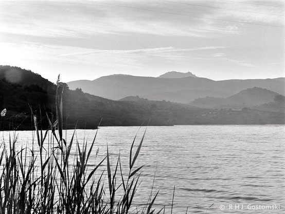 Black and white photo looking out across a lake with reeds in the foreground and mountains in the distance