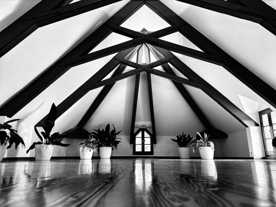 Una fotografía en blanco y negro de un interior amplio con un techo inclinado y vigas expuestas. La imagen, tomada desde un ángulo bajo, muestra un suelo de madera muy pulido y reflectante que ocupa gran parte del primer plano. El techo está dominado por un patrón de vigas oscuras y geométricas que contrastan fuertemente con las superficies blancas del techo y las paredes. Al fondo, una pequeña ventana oscura y arqueada se sitúa simétricamente en el centro, actuando como punto focal. A lo largo del suelo, varias plantas de hojas oscuras en macetas blancas están distribuidas, añadiendo un toque natural al espacio. La composición es simétrica y crea una sensación de profundidad.