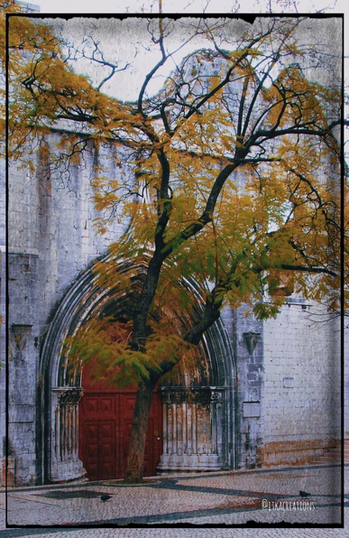 IGREGA DO CARMO (Couvent des Carmes), Lisbonne. 
Sanctuaire de style gothique (fin 14e – déb 15e s), monument religieux le plus grand de Lisbonne au Moyen-Age après la cathédrale. Le tremblement de terre de 1755 détruisit sa voûte. Un arbre a poussé pile devant la porte.