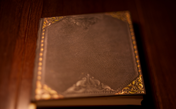 Fotografie eines verzierten Buches, das in warmen Licht auf einem dunklen Holztisch liegt. Der Deckel des Buches ist grau und der Rand ist mit verschnörkelten und goldenen Verzierungen versehen, die im Licht glänzen. Die Oberfläche ist rauh, wie graues Leder. Obwohl das Buch gerade vor dem Betrachter liegt, verläuft der Fokus schräg von der vorderen rechten Ecke zur hinteren linken, sodass die größeren, jugendstilartigen goldenen Verzierungen in den Ecken gut zu sehen sind.