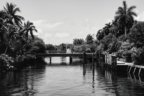 A black-and-white image shows a serene, tropical canal. Palm trees line both sides, and a boat is seen near a bridge in the distance, creating a calm mood.