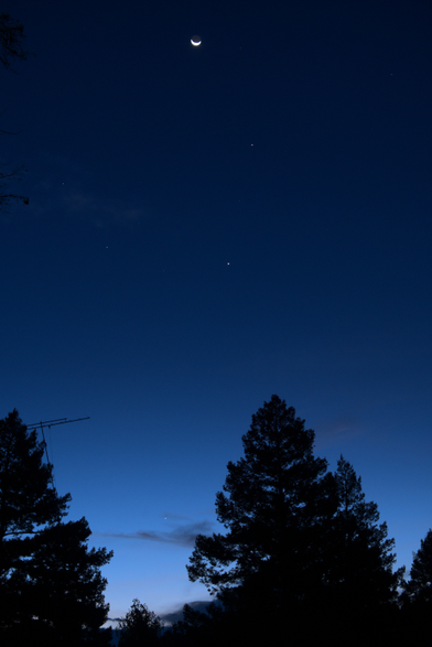 Morning twilight sky that transitions from a very dark blue at the top, to bright twilight at the bottom. The sky only has a few wisps of clouds. Trees are dark silhouettes. 