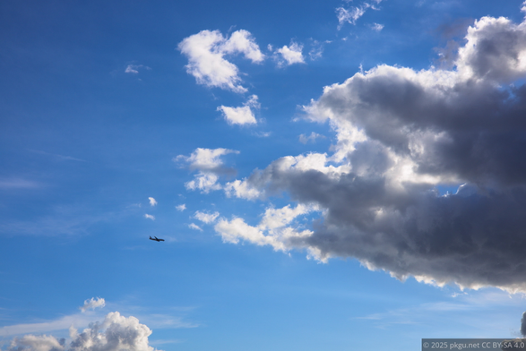 A plane in the summer sky.