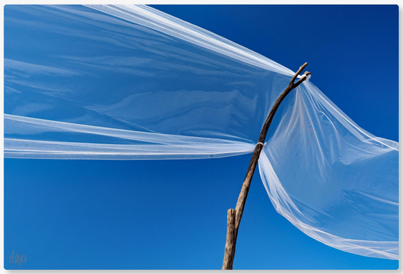 Blauer Himmel, wolkenlos. An einem Stock ist ein weißes Netz befestigt, das sich von links oben nach rechts unten durch das Bild zieht. 

Blue sky, cloudless. A white net is attached to a stick, stretching from the top left to the bottom right of the image.
