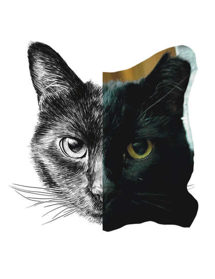 Black and white drawing of a black cat named Jenise, with the right half of the image being the reference.