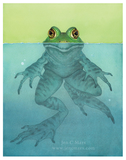 Illustration of a bullfrog looking directly at the viewer, its body mostly submerged in water, with only the very top of its head above the waterline. The submerged body is monochromatic blue, while above is full color with orange and gold eyes.