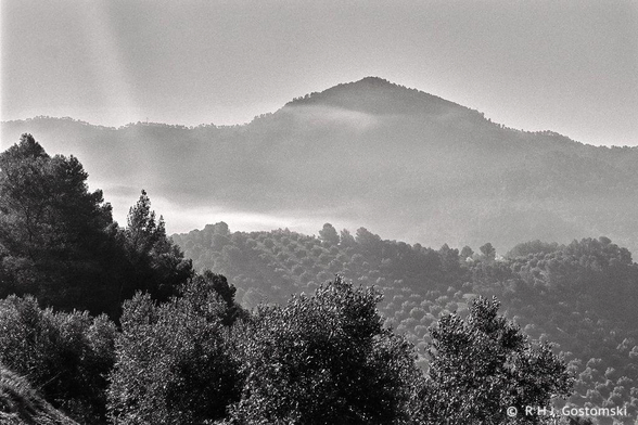Black and white photo of a misty mountain landscape with tree-covered hills, captured on Ilford FP4 with a Nikon FE2. Faint rays of sunlight filter through the mist, creating a serene and natural scene.