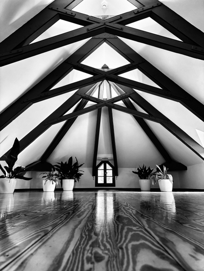 Fotografía en blanco y negro de un espacio interior abuhardillado, tomada desde un ángulo bajo que mira hacia arriba. El techo presenta una compleja estructura de vigas de madera oscura dispuestas en un patrón geométrico de triángulos y cruces, que convergen hacia el centro superior y contrastan fuertemente con el blanco de las paredes y el techo. En la pared del fondo, una pequeña ventana de forma gótica con dos paneles, enmarcada por vigas oscuras. Varias plantas de hojas oscuras en macetas blancas se alinean en el suelo a lo largo de la pared del fondo. El suelo de madera pulida, con un patrón de vetas prominente, refleja la luz y las formas de las vigas y la ventana, creando una sensación de profundidad.