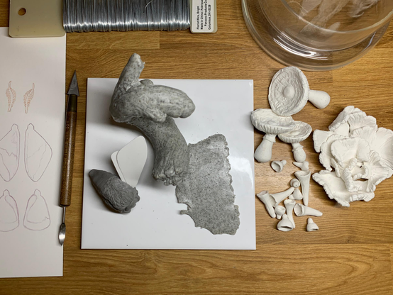 Photo of some sculptural stuff in progress, including a mostly sculpted huge moth body, a twisting sculpture of a dead branch, some various mushroom and lichen sculpts, wire, tools, wing and antennae drawings and a glass bell jar all spread out on a wood desk.