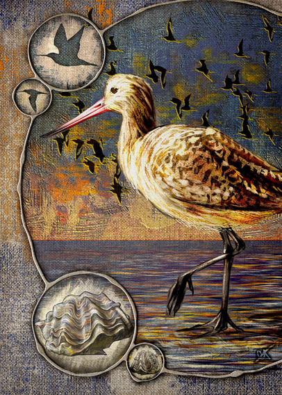 Illustration of a Godwit bird, framed in raised filigree circles containing bird silhouettes, oysters, and a flock of godwits against a seascape with clouds lit by a sunset. Heavily textured against a canvas background, with predominant blues, oranges, and browns.