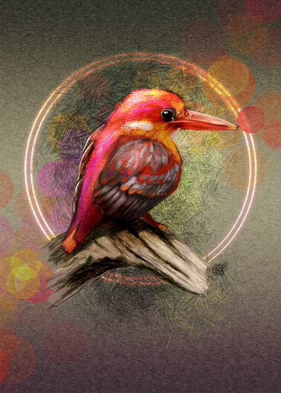 Illustration of a Rufous-backed Kingfisher with a glowing orange double halo surrounding it. A Bokeh lighting effect surrounds the bird, as well as crosshatching on a a paper texture surface. Overall effect is pretty much "Glamour Shots for Birds".