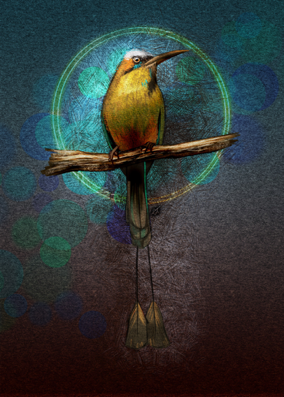 Illustration of a Turquoise-Browed MotMot bird against a paper texture background with gradients of teal and brown at the top and bottom. A double halo of light, crosshatching, and a bokeh lighting effect surround the spotlighted bird.