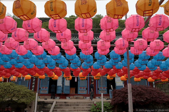 The Buddha Lanterns in Daeheungsa, Haenam, Jeollanam-do, Korea.