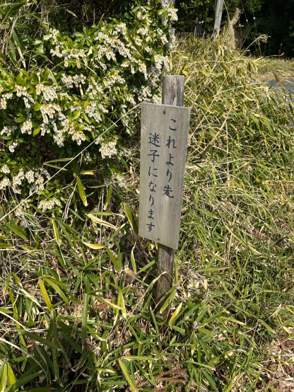 木製の看板　"これより先迷子になります"と書かれている