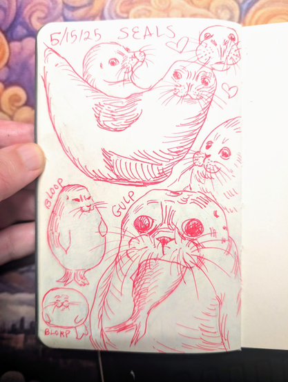 Left hand holding open a sketchbook page with pink pen drawings of seals. At the top is the text 5/15/25 and SEALS. There are 7 drawings of seals. The bottom right has a large drawing of a seal with a fish in his mouth. Above is a lounging seal, and throughout the rest of the page are some very fat seals with the text Bloop, Gulp, and Blorp.