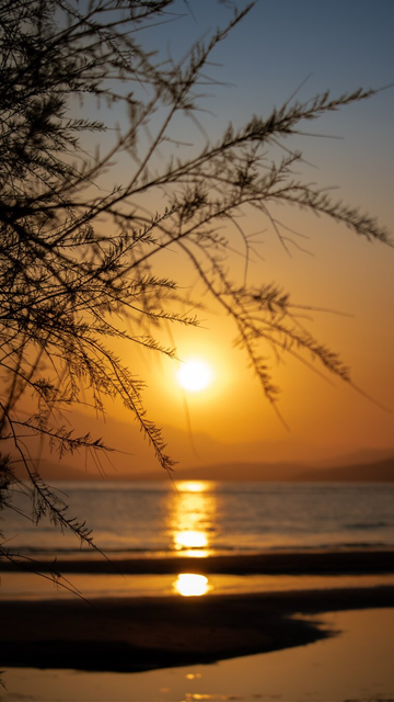 On the beach 🏖️ 

#Sunrise 
#sky #skyporn
#seaview #sea #nature #natura
#naturephotography #naturelovers #colorful
#canon #photography