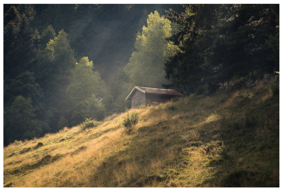 A cabin on the edge of the forest is bathed in golden evening light by the rays of the setting sun.