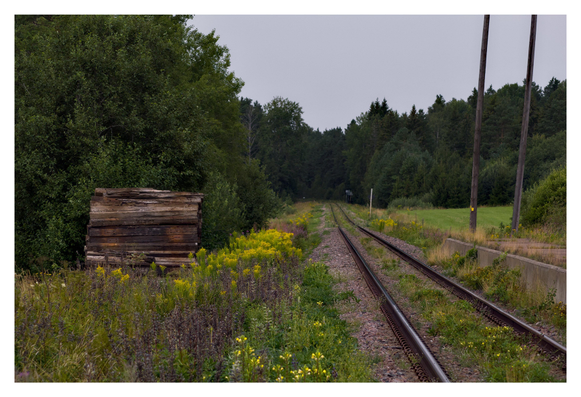 En liggande bild på järnvägsspår som försvinner in vid en skog. Till vänster ligger en brädhög med gula och lila blommor bredvid. Till höger står två stolpar.