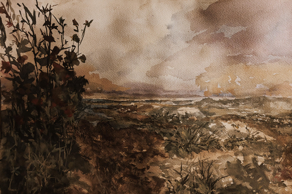 Spain is burning
Watercolor 
#art #watercolor #MastoArt 