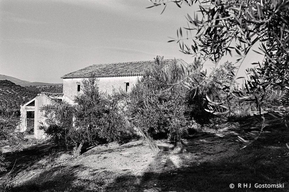 Black and white photo, shot on Ilford FP4 with a Nikon FE2, of an old abandoned rustic house with a tiled roof partially obscured by olive trees, set on a sunlit, sloping landscape.