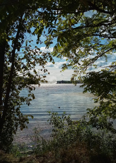 The photographer sits on a bench giving him a framed view of a lake. Tree branches hang from the top as well as the sides and grasses and bushes can be seen along the bottom. The lake glistens in the afternoon sun and a large fountain can be seen in the distance. Large clouds fill the sky and the distant shoreline can also be seen.