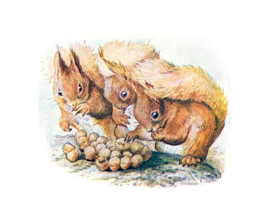 Three squirrels are huddled together around a small heap of hazelnuts they are feeding on.