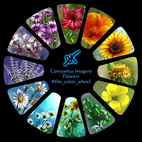 A collage of twelve different flower images of arranged in a color wheel framed in black.