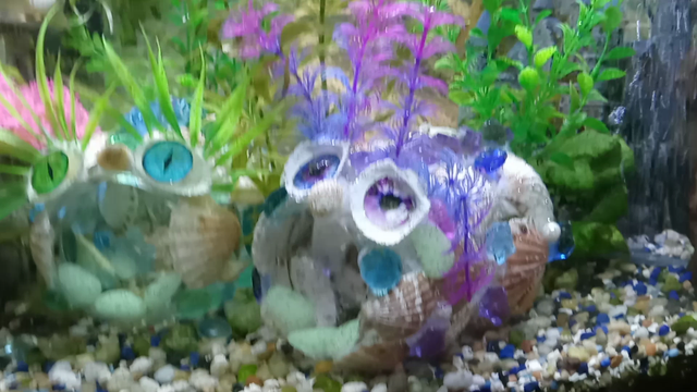 I have shifted my craft store focus from the floating habitats to my new Aqua Creatures! Using large mouth glass jars decorated with my trademark shells acrylic gems faux pearls Glow in the dark stones and aquarium plastic plants (along with some really cool dragon eyes from Temu I have created an entire family off Goofy creatures suitable for fish to hang out in. Of course they all are named. Shown here Mrs Peacock, Snake Fishkin, Squidwordal. and Sauronipus. 