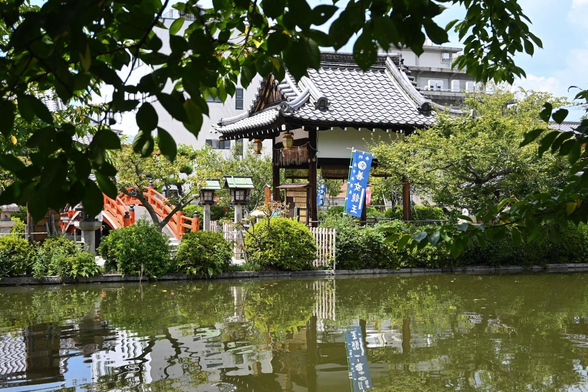 法成就池の東側から境内中央にある恵方社を臨む。/ 2025.08.30 神泉苑から