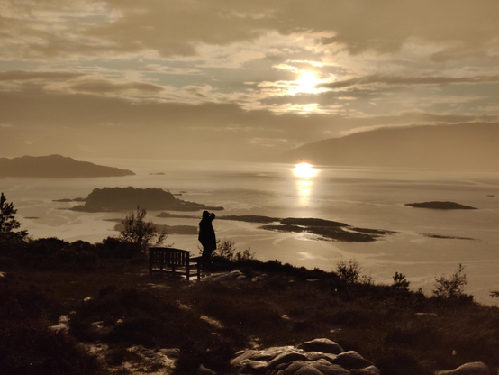 A view from a clifftop at sunset. Looking out over a very calm sea there are lots of small islands, while in the far distance hills and mountains rise from larger islands. A person is silhouetted in the foreground.

Due to the colour of the sunset (and the fact that it was pouring with rain, although you can't see that in the photo), the colours in the picture are very muted, almost sepia in appearance.