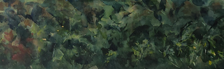 Nature Textures 
Watercolor 
Cotton paper 
#art #watercolor #trees #leaves #nature #MastoArt 
