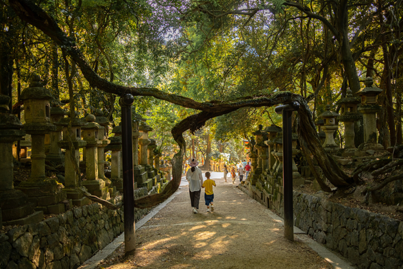 Tree tori-like gate in Nara Japan near Kasugataisha Shrine. Surrounded by stone lanterns. A mother and child walk through the gate.