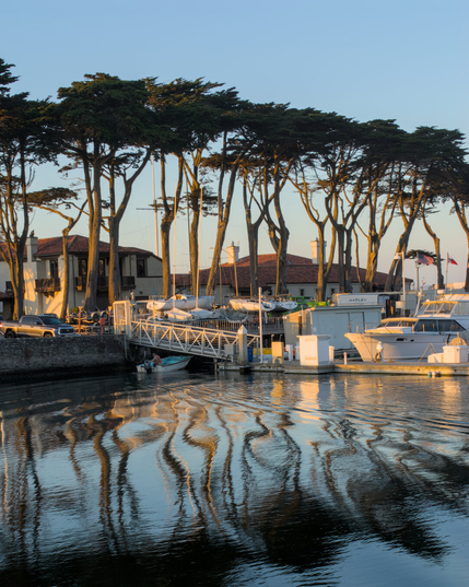 Trees reflecting in the water of a small marina. The reflections are wavy on the wake of a small boat coming in. The light is warm as the last rays of sunset hit the trees from a low angle