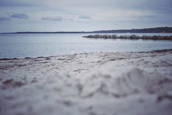 Foto von einem Sandstrand von sehr nah am Boden aufgenommen. Im Hintergrund Wasser und eine Steinschlichtung. Darauf sitzt eine Möwe.