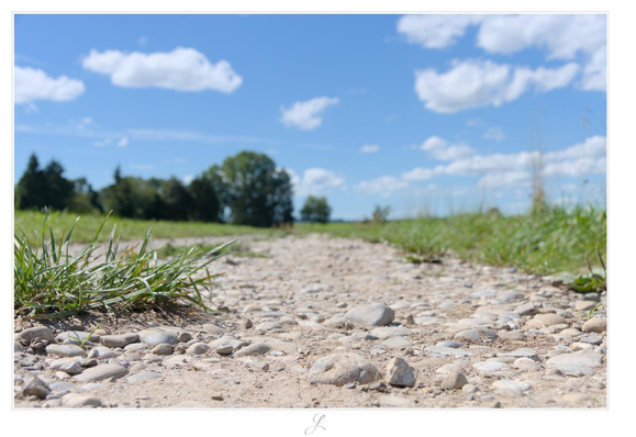 Close-up of a dirt road just above the ground. Some grass to the left, stones and dust in the foreground being in focus. The track stretches into the distance, to its left and right there are green meadows. The blurred background shows some trees and the blue sky above has some blurred white summer clouds.

AI disclaimer: Using my work, its meta data, written or derived description to create media with or train AI based systems is prohibited.