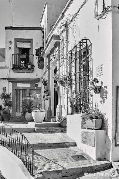 Captured with a Nikon F camera using Ilford Delta 100 film, this black-and-white photograph depicts a charming street scene in Nijar. Old buildings adorned with potted plants, an iron fence, and steps lead to a doorway, where bright sunlight casts shadows on the intricate wrought iron decorations.