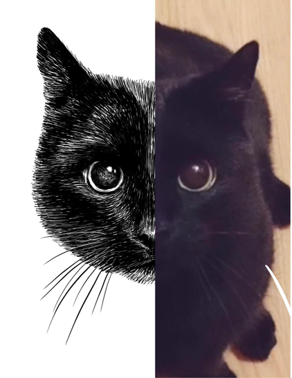 Black and white drawing of a black cat named Soot, with the right half of the image being the reference.