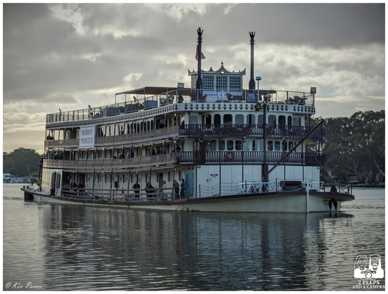 A multi-deck paddle steamer named Murray Princess glides across a calm river under a cloudy sky.

The boat features ornate railings, twin smokestacks, and layered balconies, evoking vintage river travel.

Tree-lined shores frame the scene, adding depth and tranquility to the vessel’s stately presence.