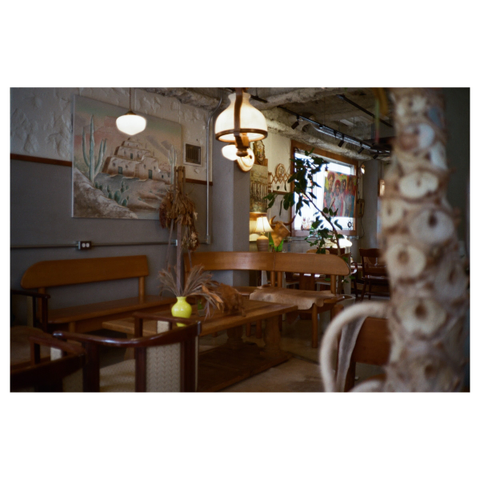 The warm interior of a cafe, consisting of wooden furniture, dried, golden plants, retro lamps and nice paintings.