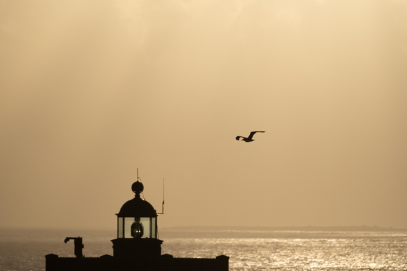 Sommet du phare de Kermorvan au coucher de soleil. Un oiseau passe.