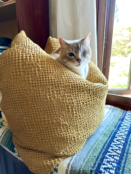 Another angle of Doots, a one-eyed Lynx Point Siamese cat, lounging in a big gold textured European-style down pillow. He is looking atchu, turned away from the window to his left. 