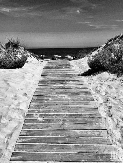 La imagen muestra un sendero de madera que serpentea a través de las dunas de arena en una playa. El camino, que domina la parte inferior de la foto, guía la vista del espectador hacia el horizonte. Al final del sendero, se ven algunas sombrillas de playa y el océano. A los lados del camino hay dunas de arena cubiertas de vegetación. La foto está en blanco y negro, lo que le da una sensación atemporal y dramática.