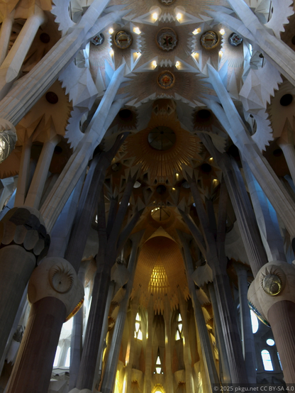 The roof of Sagrada Familia, Barcelona, Spain.