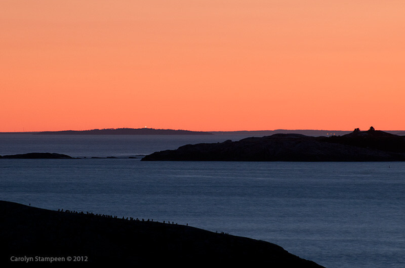 The top half of the image is deep orange.  The bottom half is deep blue ocean with rocky islands and far shore being black.  In the distance, lights from a village can be seen.  In the foreground, the top part of a granite island is lined with cormorants.  Because they are black blips on a black rock, you'll have to take my word for it. 