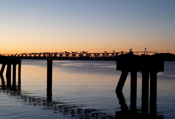 Photograph of the colourful sky after sunset, ranging from blue to orange on the horizon, with in the foreground the silhouette of pillars in water connected by a metal structure, on which a row of gulls are perched almost along their entire length. The water is blue-purple and reflects the orange of the sky.